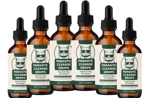 6 Month Supply - Parasite Cleanse 73% OFF