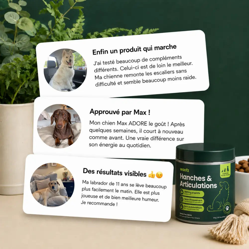 Bouchées Tendres pour Hanches et Articulations