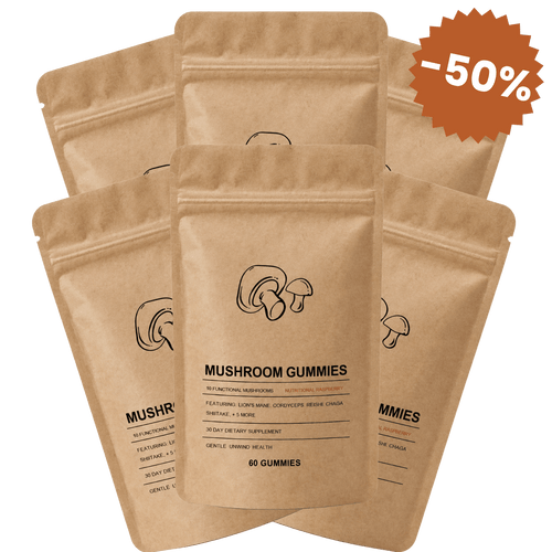 Haura | Pack de 6 à -50%