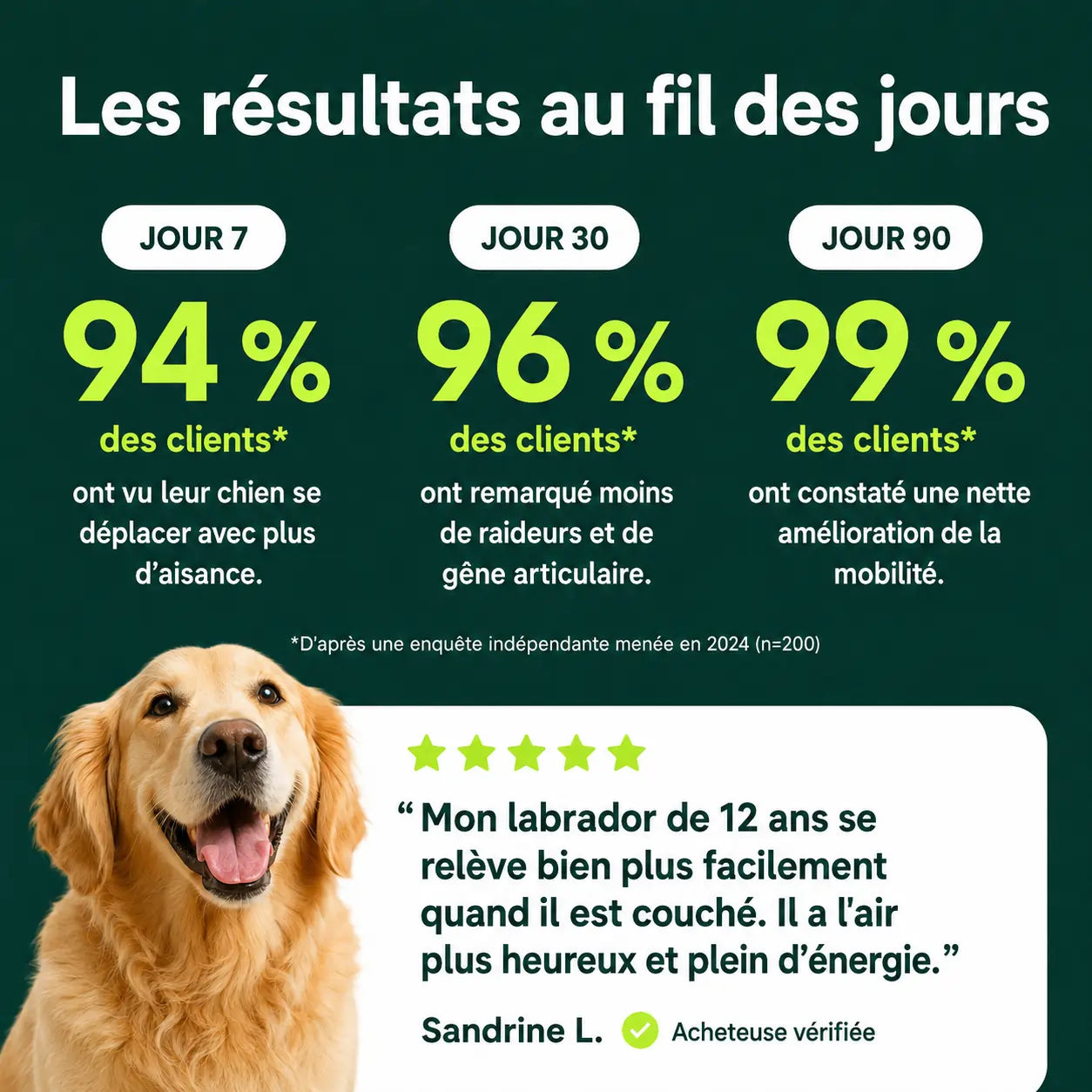 Bouchées Tendres pour Hanches et Articulations