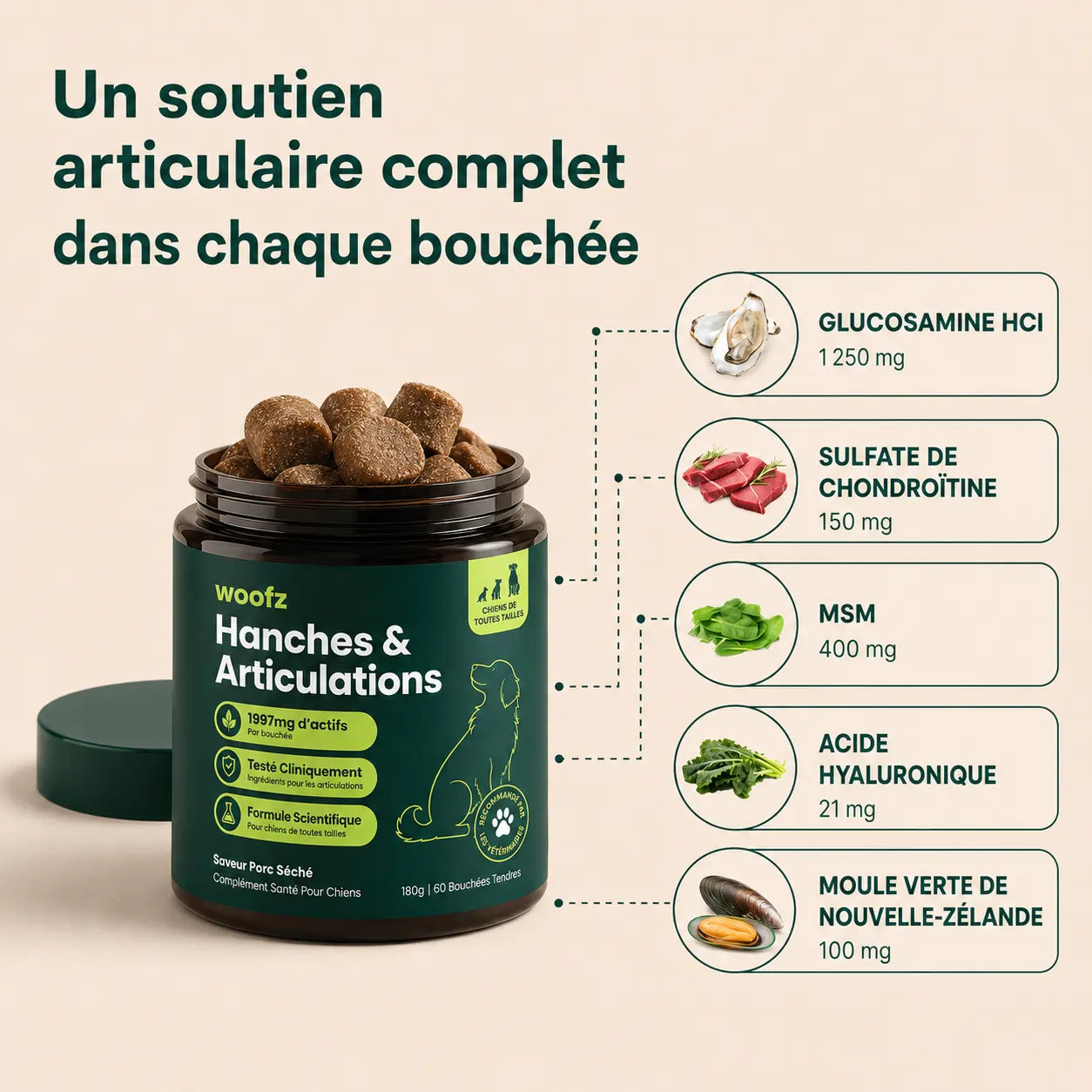 Bouchées Tendres pour Hanches et Articulations