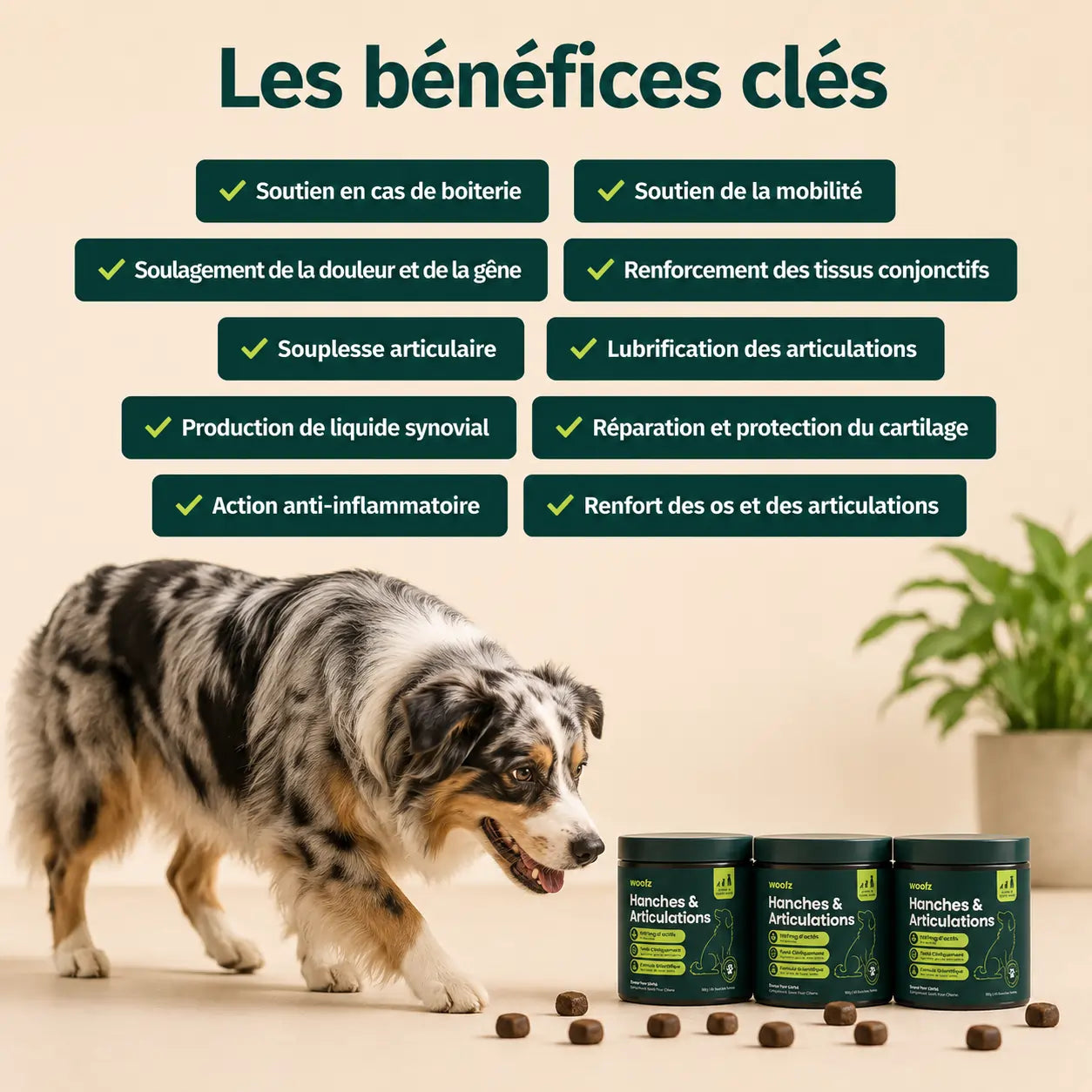 Bouchées Tendres pour Hanches et Articulations