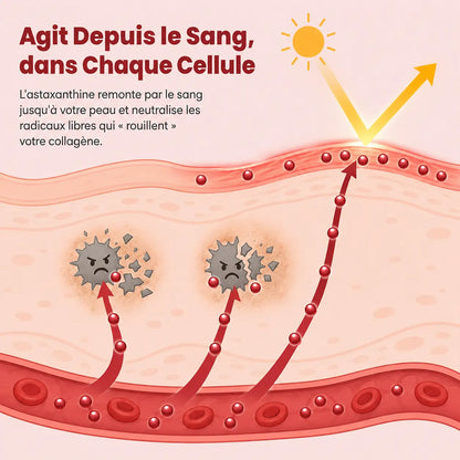 HAURA | Astaxanthine Pure – Estompe Les Taches Brunes & Raffermit La Peau