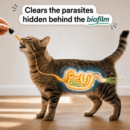 Haura™ Parasite Cleanse Drops