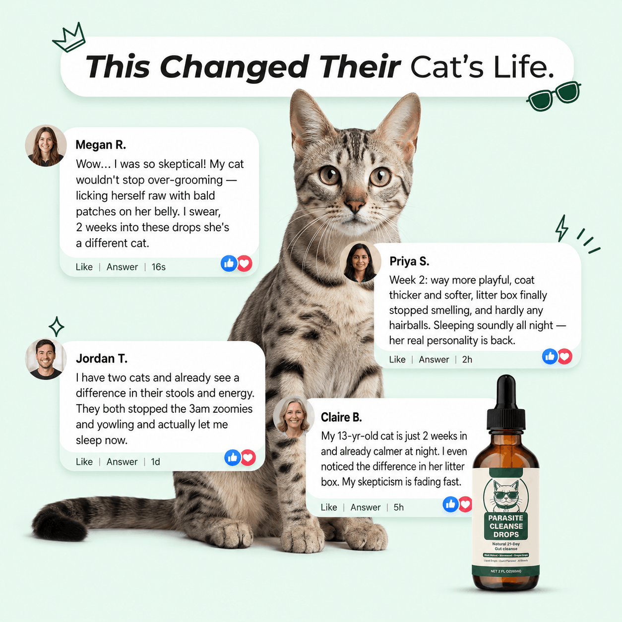 Haura PetLabs® Parasite Cleanse Drops