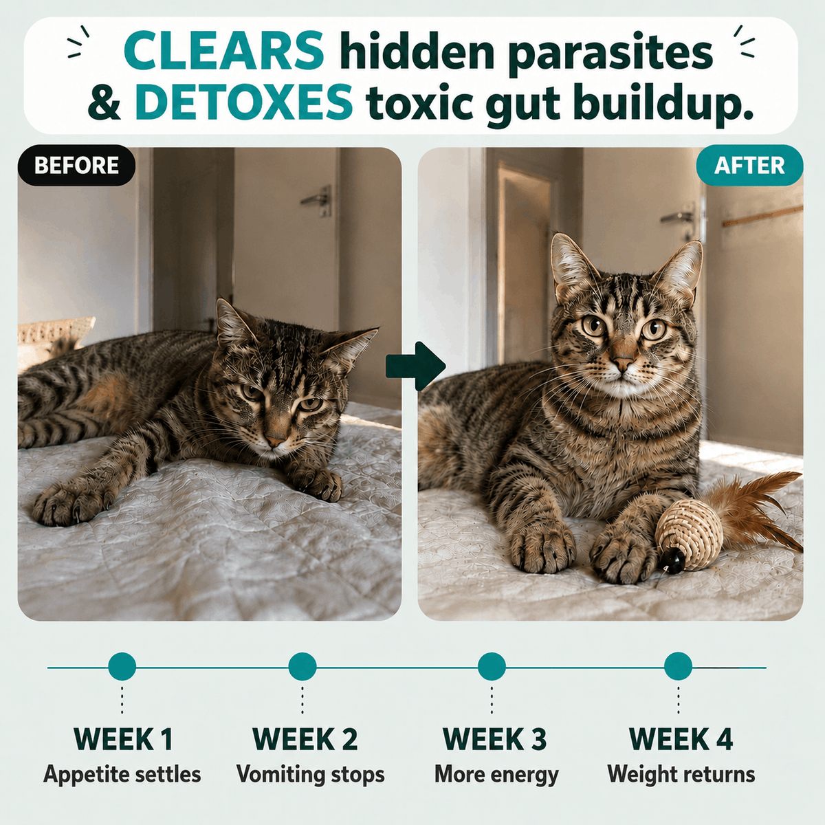Haura™ Parasite Cleanse Drops