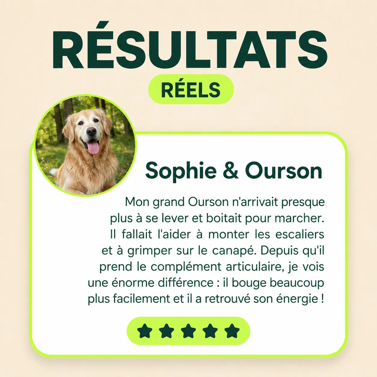 Bouchées Tendres pour Hanches et Articulations