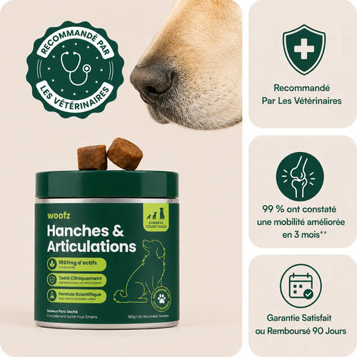 Bouchées Tendres pour Hanches et Articulations