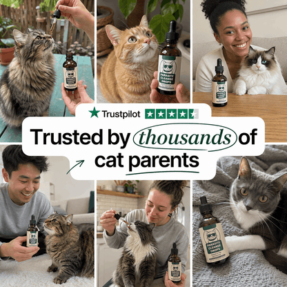 Haura PetLabs® Parasite Cleanse Drops